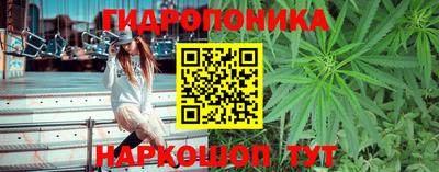 дурь Балаково