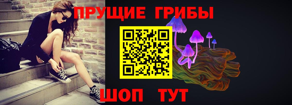 Галлюциногенные грибы MAGIC MUSHROOMS  Вход с VPN  Дивногорск 